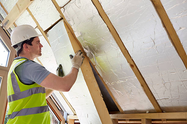 Best Commercial Insulation Services  in Arlington, MN